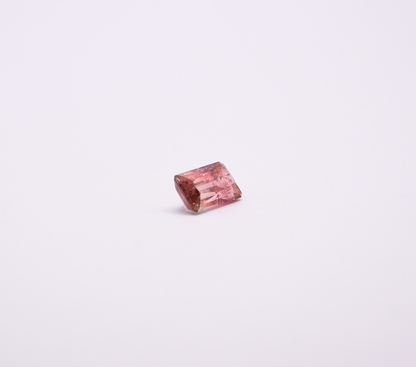 TURMALINA BICOLOR 6,94ct