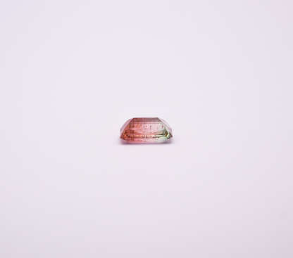 TURMALINA BICOLOR 6,94ct